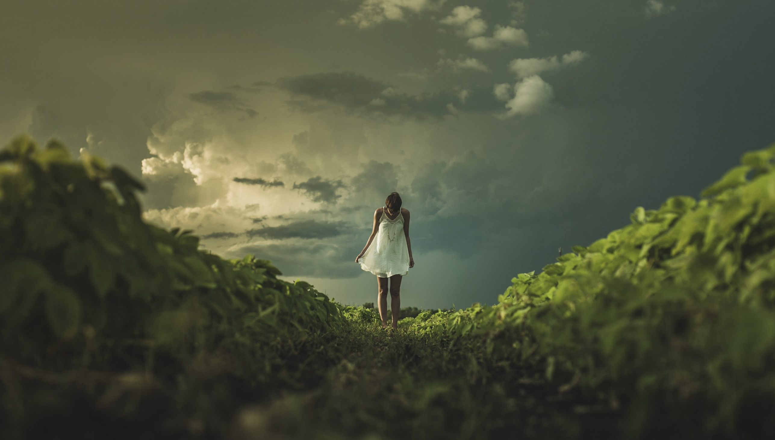 Young woman wishing in nature